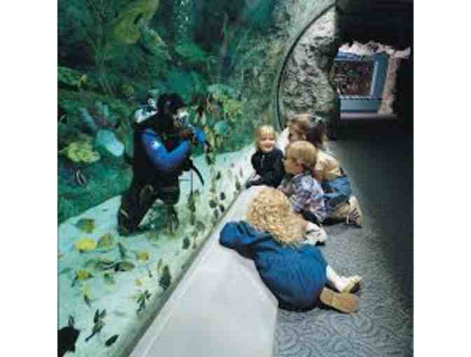 Aquarium of the Pacific passes