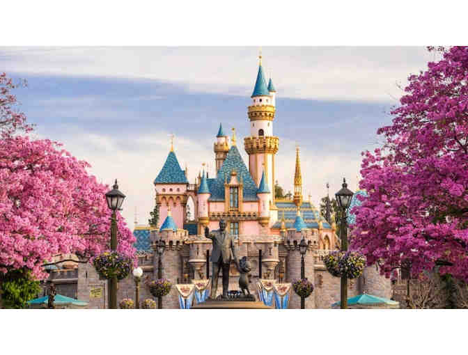 Two Disneyland / California Adventure Park Hopper Passes