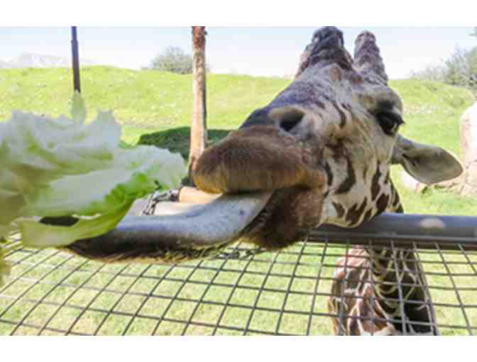 The Living Desert Zoo and Gardens Family Four-Pack