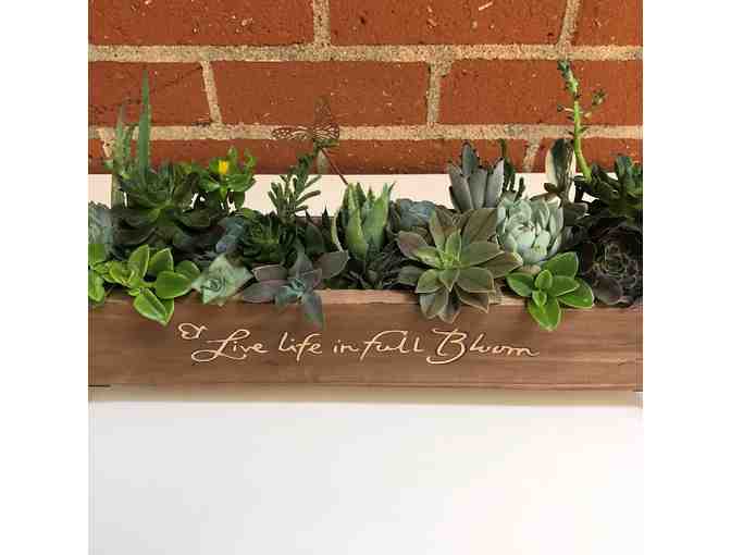 Beautiful Succulent Centerpiece