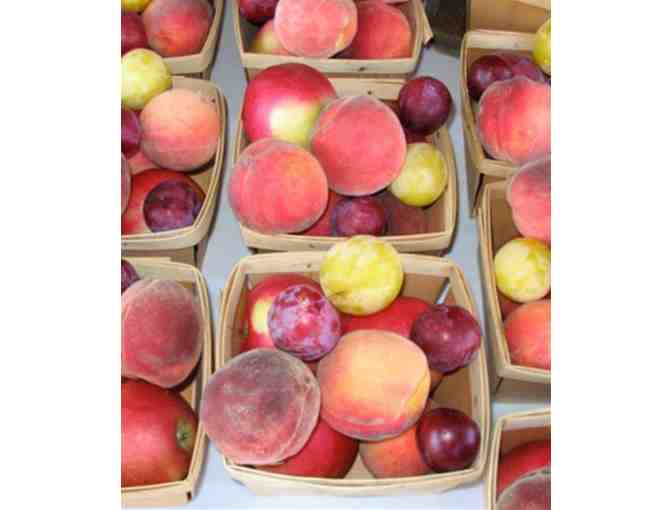 Westward Orchards 2022 Fruit Share