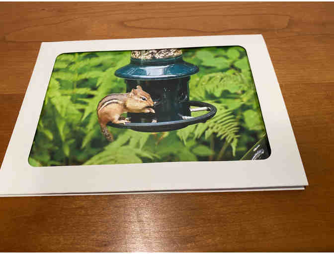 10 Photocards of Flowers, Animals, and Birds (#1)