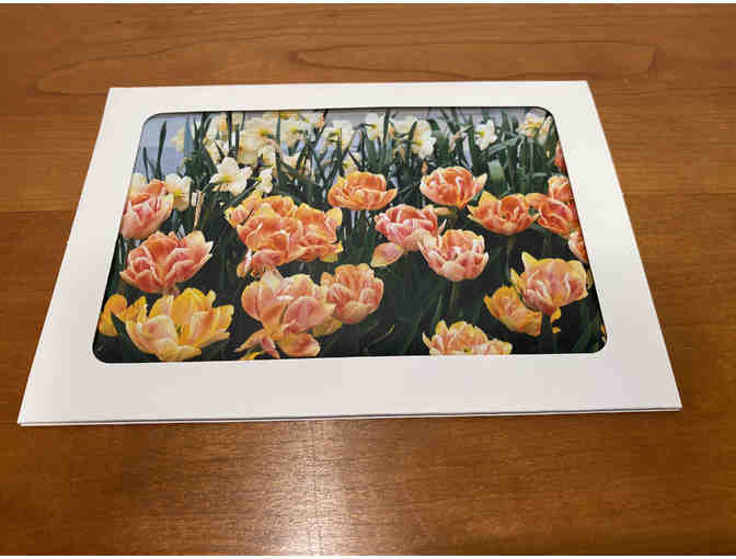 10 Photocards of Flowers, Animals, and Birds (#1)
