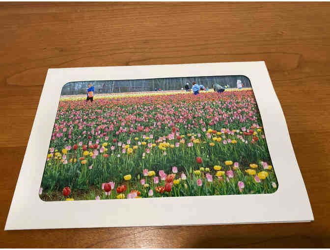 10 Photocards of Flowers, Animals, and Birds (#1)