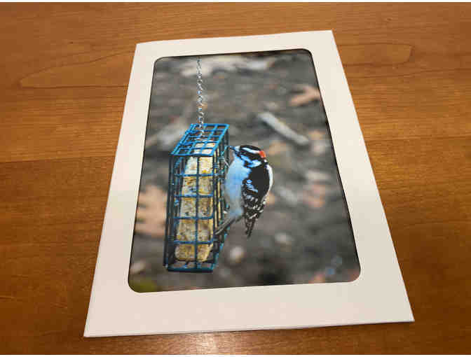 10 Photocards of Flowers, Animals, and Birds (#1)