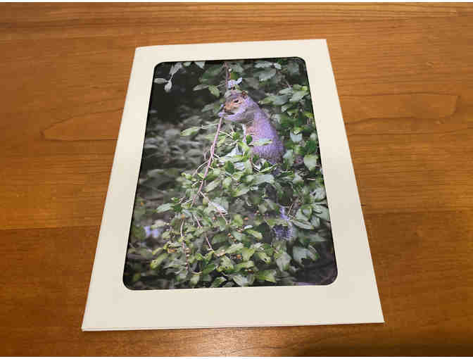 10 Photocards of Flowers, Animals, and Birds (#1)