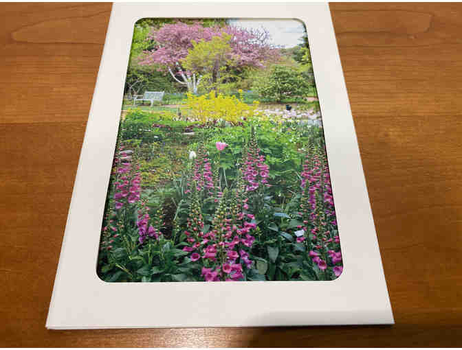 10 Photocards of Flowers, Animals, and Birds (#2)