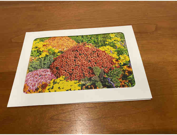 10 Photocards of Flowers, Animals, and Birds (#2)