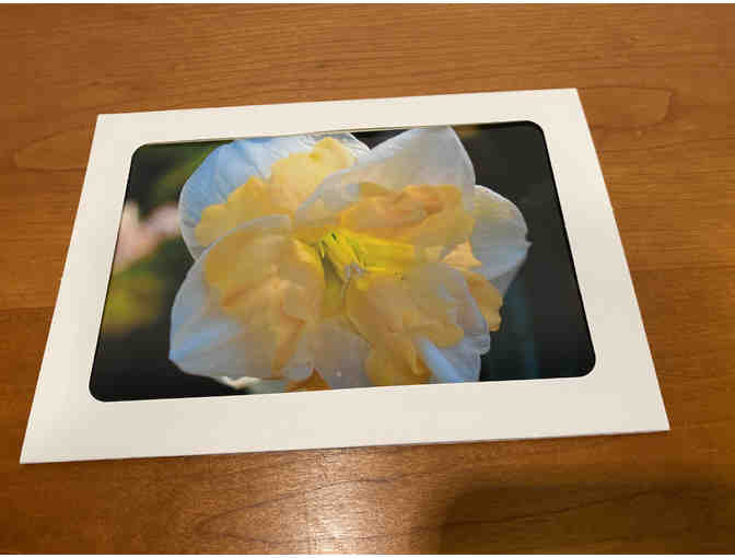 10 Photocards of Flowers, Animals, and Birds (#2)