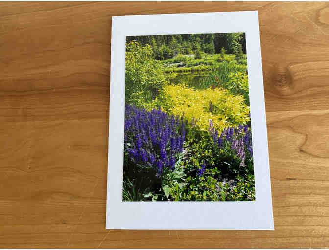 Photocards (10) of Flowers, Animals, and Birds (#1)