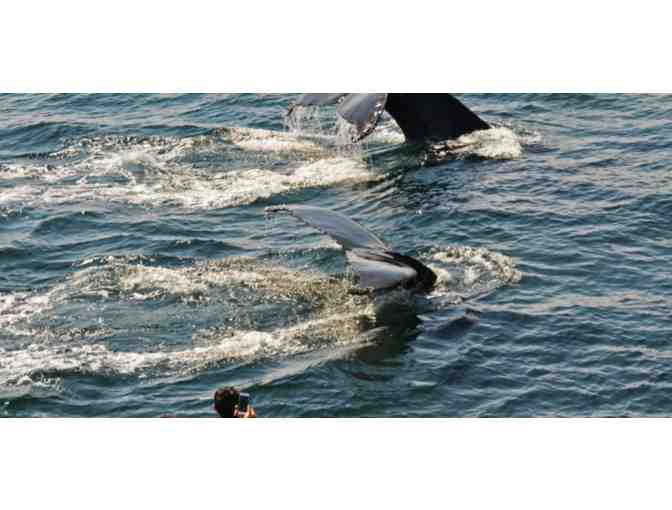 New England Aquarium Whale Watch Adventure for 2 People