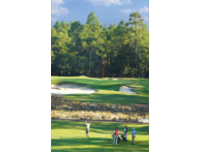 Play 2 Rounds at Pinehurst at the Acura College Alumni Team Championship/3 Night Stay