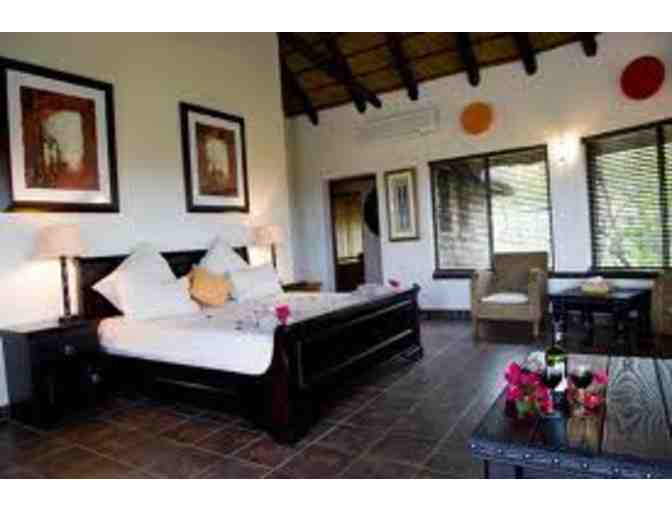 Zulu Nyala - Experience the Magic of Africa - Safari for Two