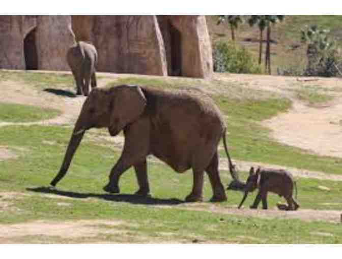 Visit the San Diego Zoo OR San Diego Zoo Safari Park; Child's Passes for Legoland too