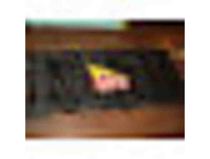 Own an Authentic In-N-Out Burger Sleeping Bag!