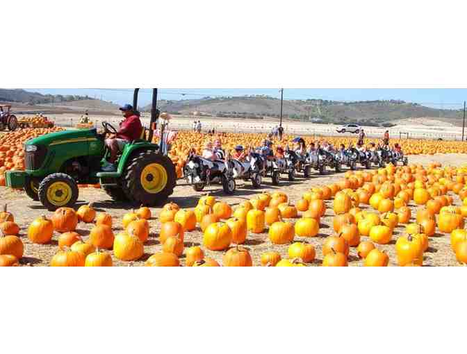 Family Fun at the Farm!