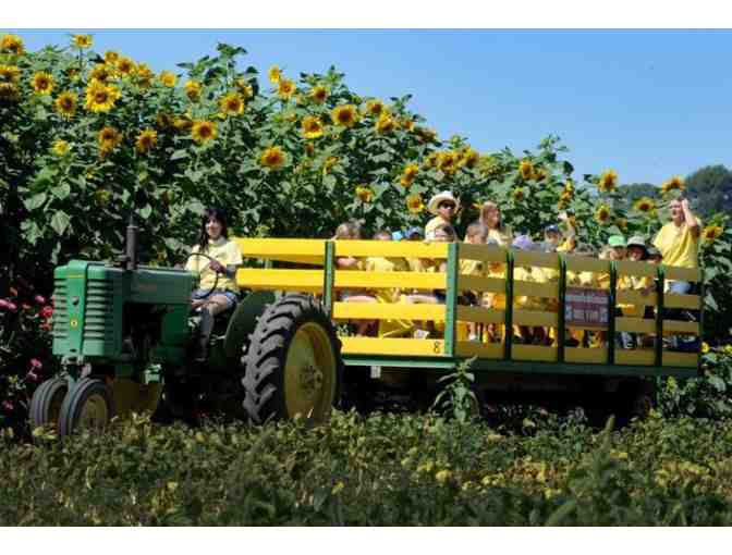 Family Fun at the Farm!