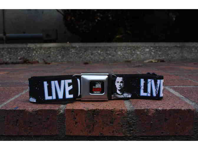 Ultimate Big Bang Theory Merchandise