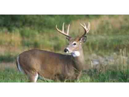 Texas Deer Hunt