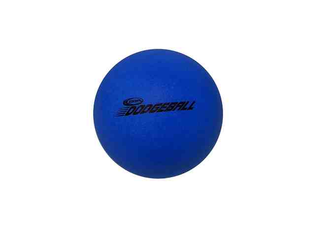 Coop Dodge Ball - Blue