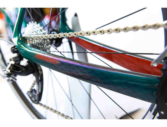 One-of-a-Kind, Hand Painted- sz 56 Snake Themed - Diamondback Podium Race Bike