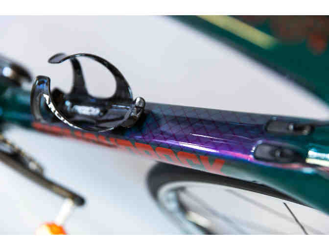 One-of-a-Kind, Hand Painted- sz 56 Snake Themed - Diamondback Podium Race Bike