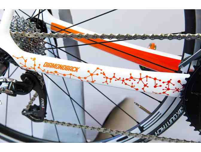 One-of-a-Kind, Hand Painted - sz 58  Science Themed - Diamondback Podium Race Bike