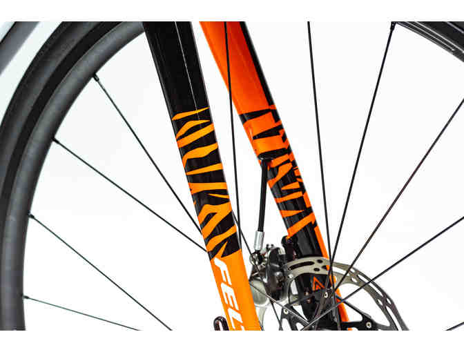 One-of-a-Kind, Hand Painted sz 51cm - Tiger Themed - Felt FR Disc Bicycle