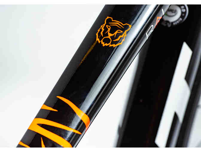 One-of-a-Kind, Hand Painted sz 51cm - Tiger Themed - Felt FR Disc Bicycle