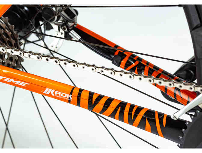One-of-a-Kind, Hand Painted sz 51cm - Tiger Themed - Felt FR Disc Bicycle