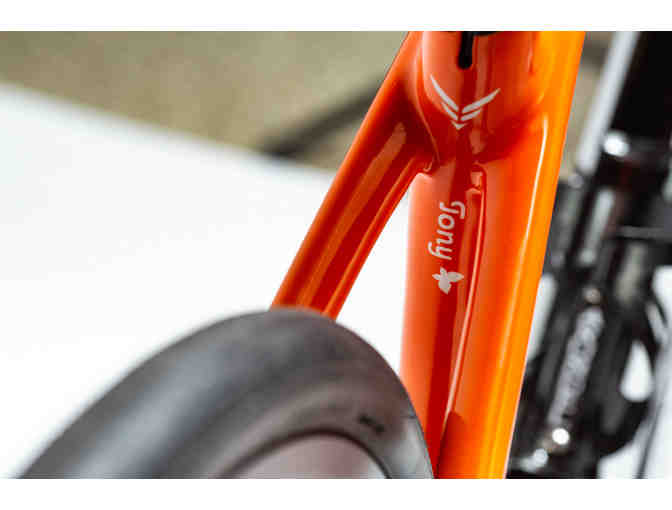 One-of-a-Kind, Hand Painted sz 51cm - Tiger Themed - Felt FR Disc Bicycle