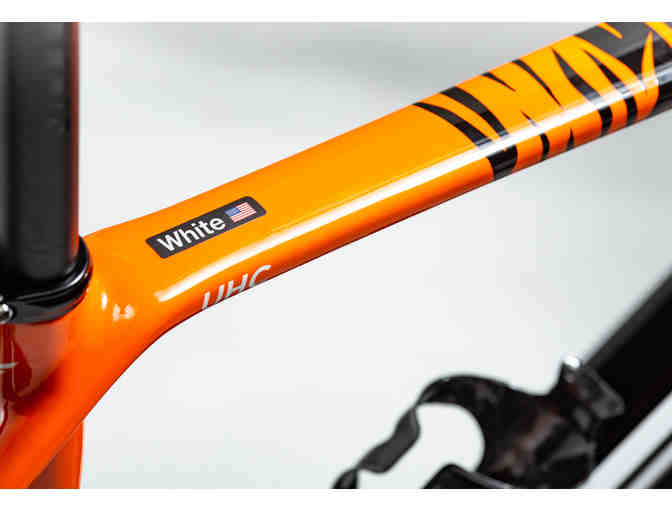 One-of-a-Kind, Hand Painted sz 51cm - Tiger Themed - Felt FR Disc Bicycle