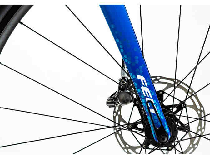 One-of-a-Kind, Hand Painted sz 54cm - Biology Themed - Felt FR Disc Bicycle