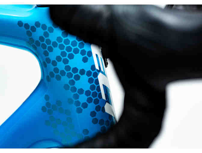 One-of-a-Kind, Hand Painted sz 54cm - Biology Themed - Felt FR Disc Bicycle