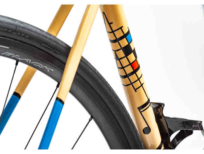 One-of-a-Kind, Hand Painted sz 56cm - Music Themed - Felt FR Disc Bicycle