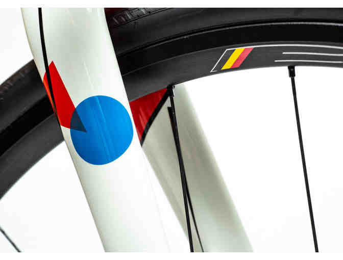 One-of-a-Kind, Hand Painted sz 56cm - Music Themed - Felt FR Disc Bicycle