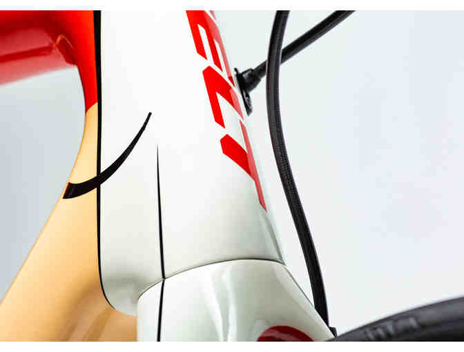 One-of-a-Kind, Hand Painted sz 56cm - Music Themed - Felt FR Disc Bicycle