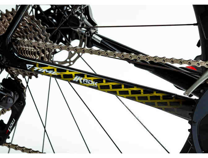 One-of-a-Kind, Hand Painted sz 58cm - Brick Themed - Felt FR Disc Bicycle