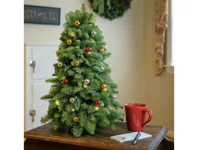 Classic Tabletop Tree with Lights - 18 inches tall - Photo 1