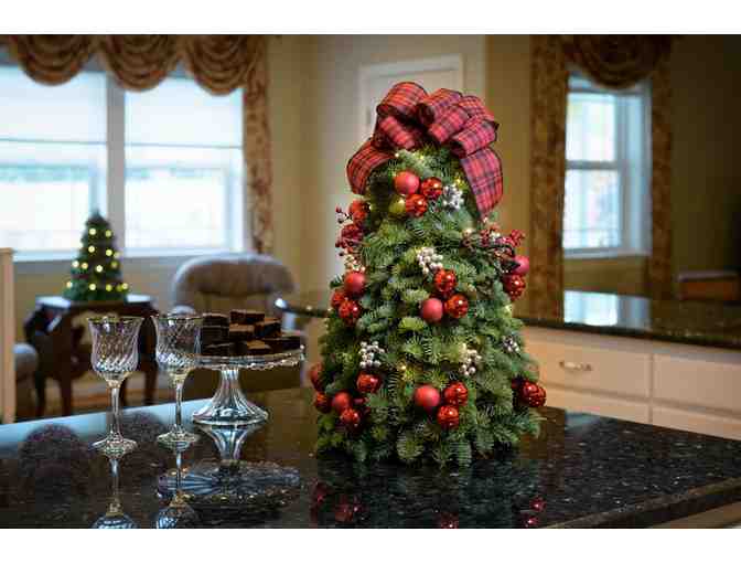 Tartan Tabletop Tree with Lights - 18 inches tall - Photo 1