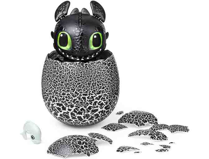 Dreamworks Dragons- Hatching Toothless Interactive Baby Dragon with Sounds