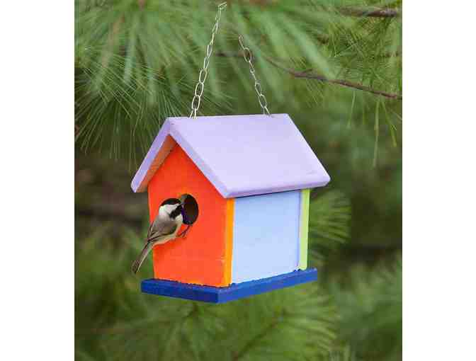 Hearthsong - Paint Your Own Ladybug - Dragonfly Rock Pet & 2 Bird Houses