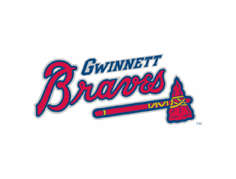 Gwinnett Braves Suite for 2010 Home Game