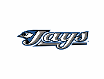 Toronto Blue Jays 'Jay for Day' Experience