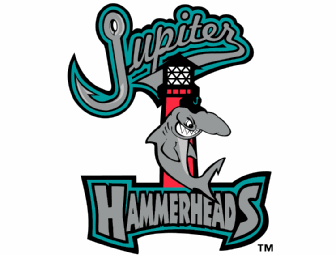 Jupiter Hammerheads Suite (20 people) and First Pitch in Jupiter, FL
