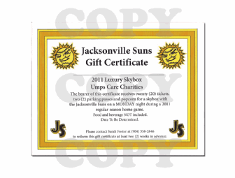Jacksonville Suns Luxury Skybox (for 20 fans)
