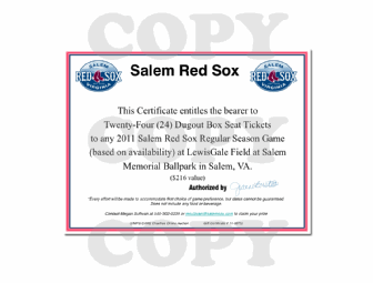 Salem Red Sox Dugout Box Ticket Block (24 tickets)