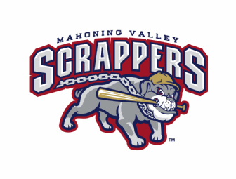 Mahoning Valley Scrappers Suite Night (up to 20 people)