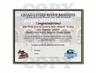 Quad Cities River Bandits Luxury Suite (up to 16 people)