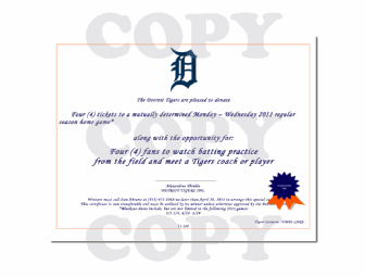 Detroit Tigers Batting Practice and Game Tickets